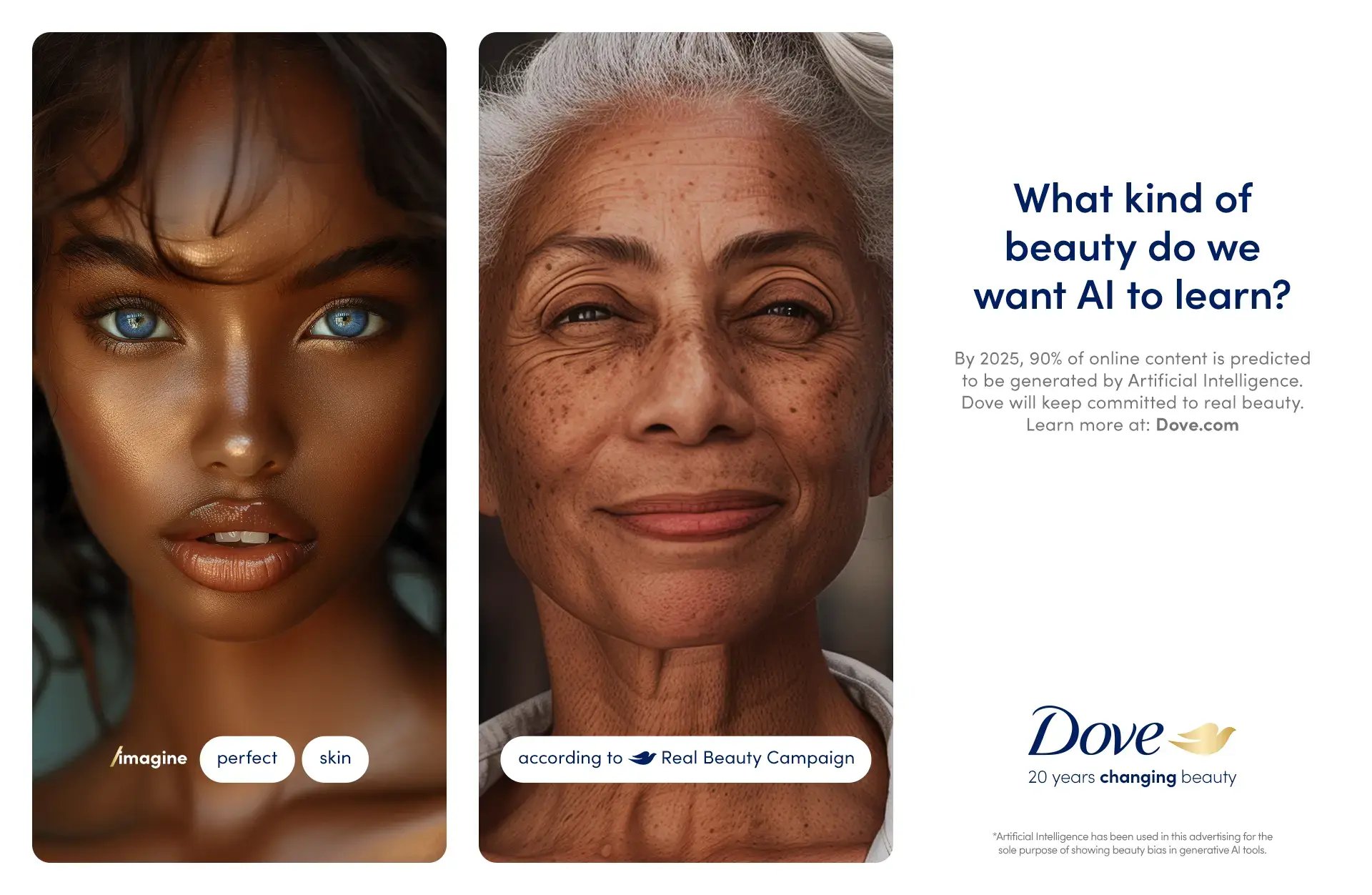 The_Dove_Code_1